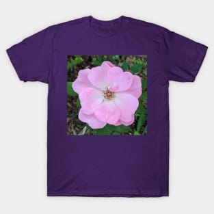 Light Pink Delicate Flower Photographic Image T-Shirt